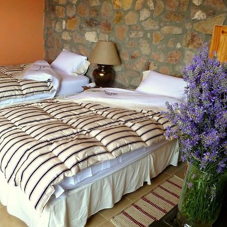 La Calandria Casa De Campo Villa Пуерто Мадрин Стая снимка