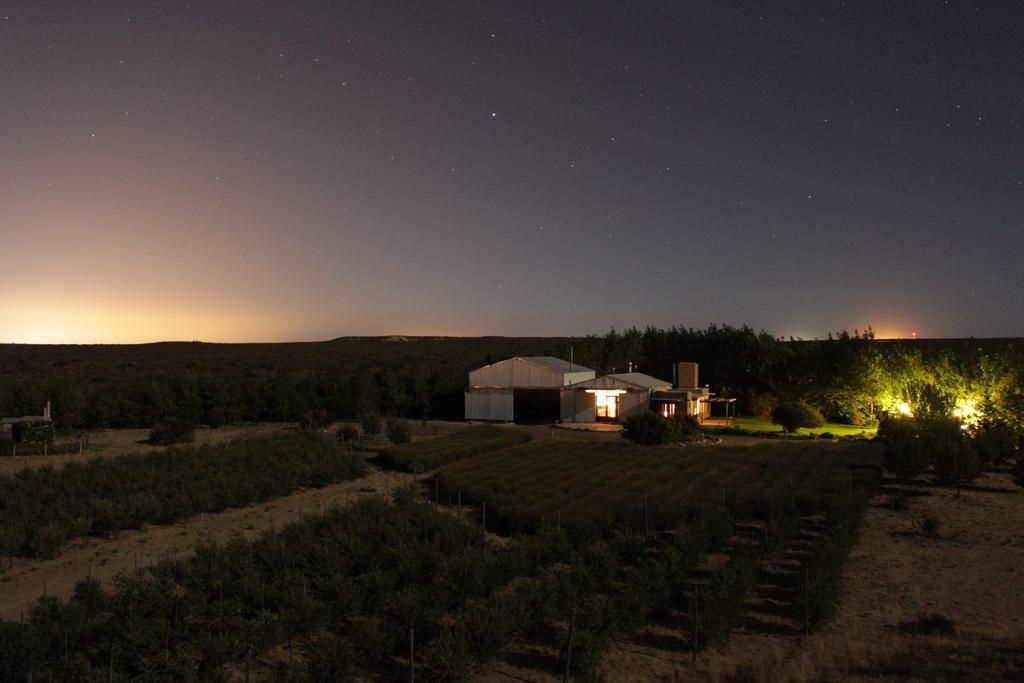 La Calandria Casa De Campo Villa Пуерто Мадрин Екстериор снимка