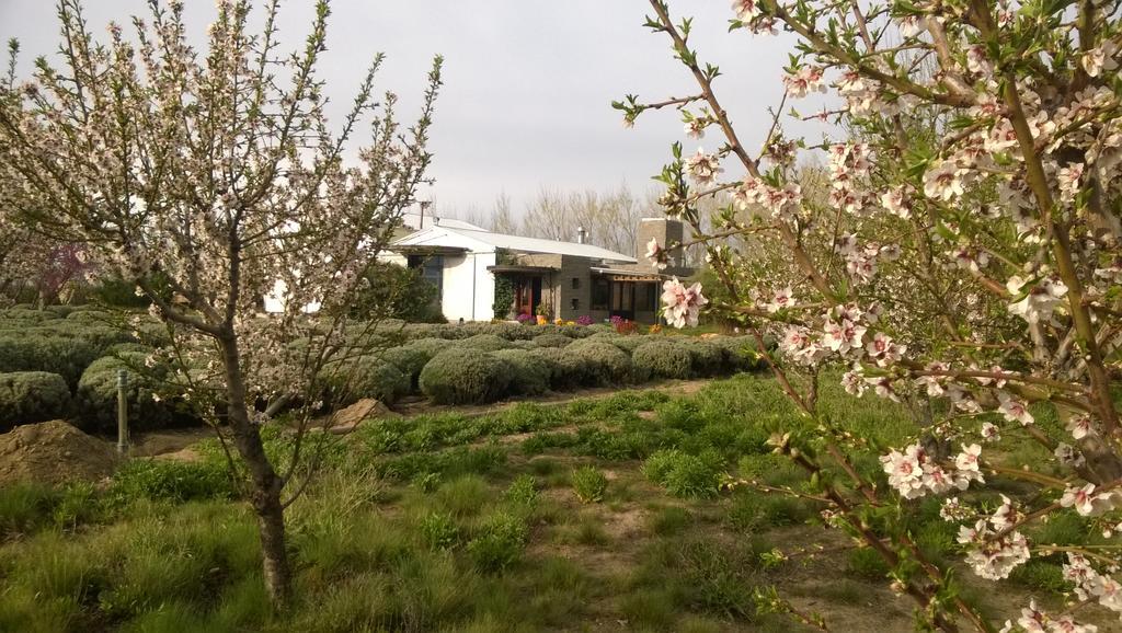 La Calandria Casa De Campo Villa Пуерто Мадрин Екстериор снимка